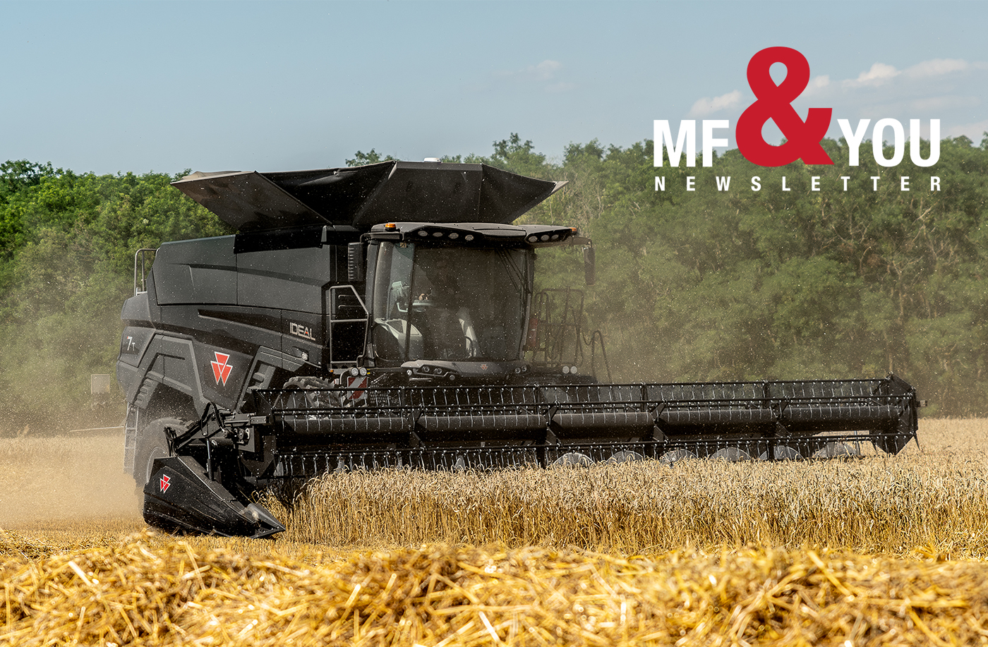 Sunshine & Updates - MF Highlights & Happenings!